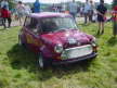 Mini in the Park 2