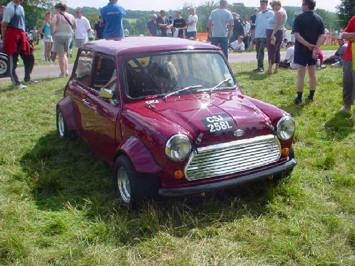 Mini in the Park 2